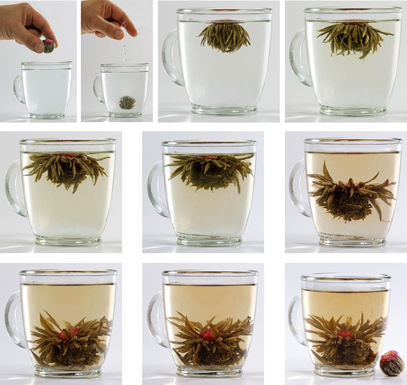 Postup zalievania kvitnúcich čajov