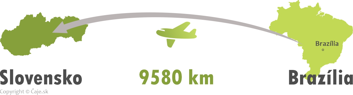Vzdialenosť Slovensko Brazília