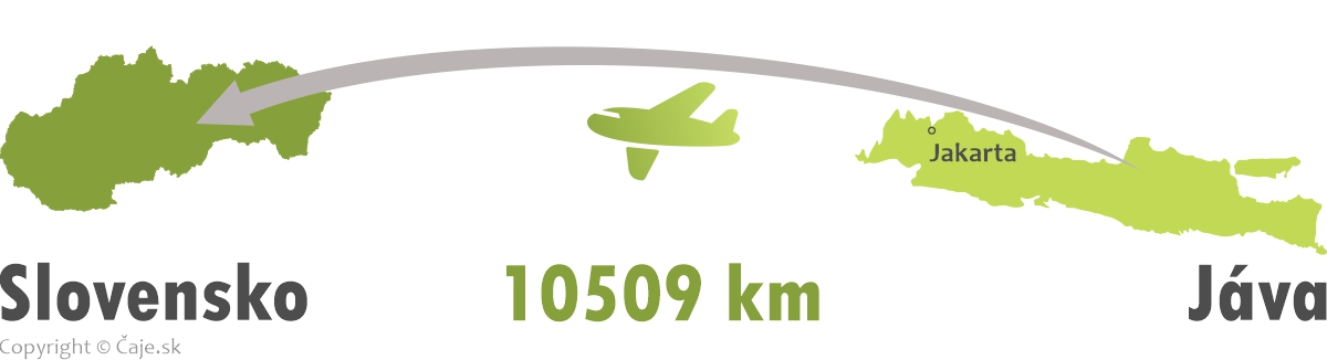 Vzdialenosť Slovensko India