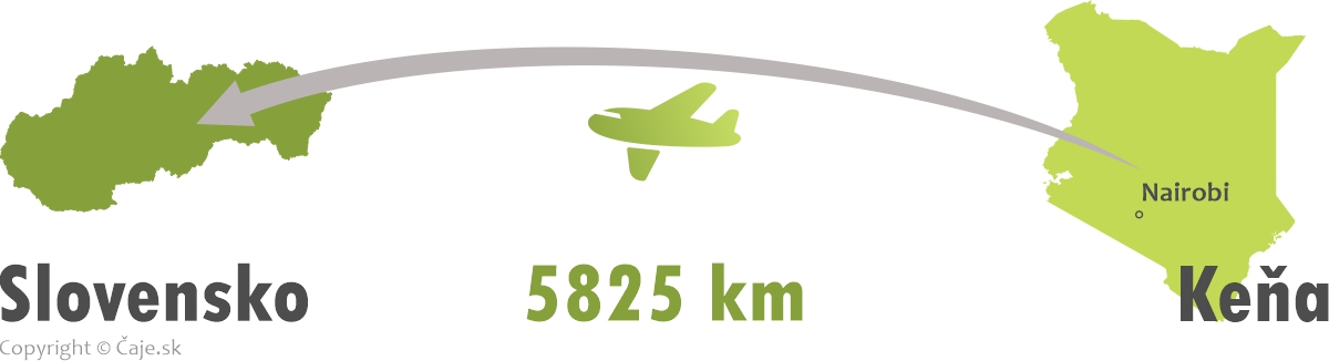 Vzdialenosť Slovensko India