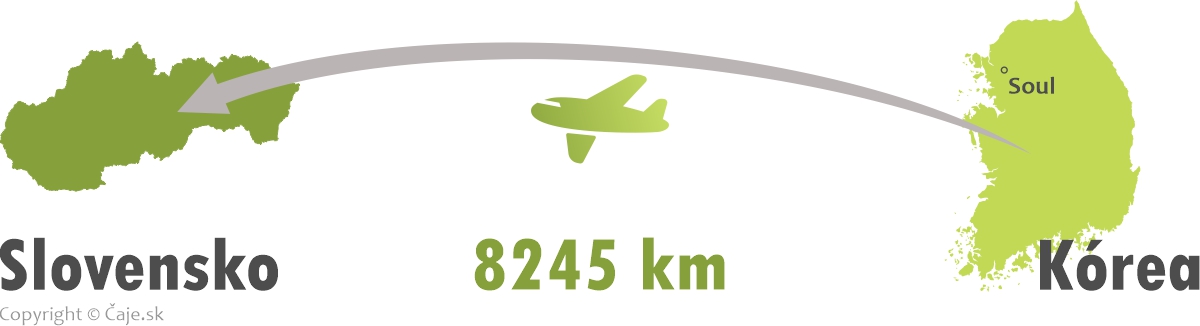 Vzdialenosť Slovensko Kórea