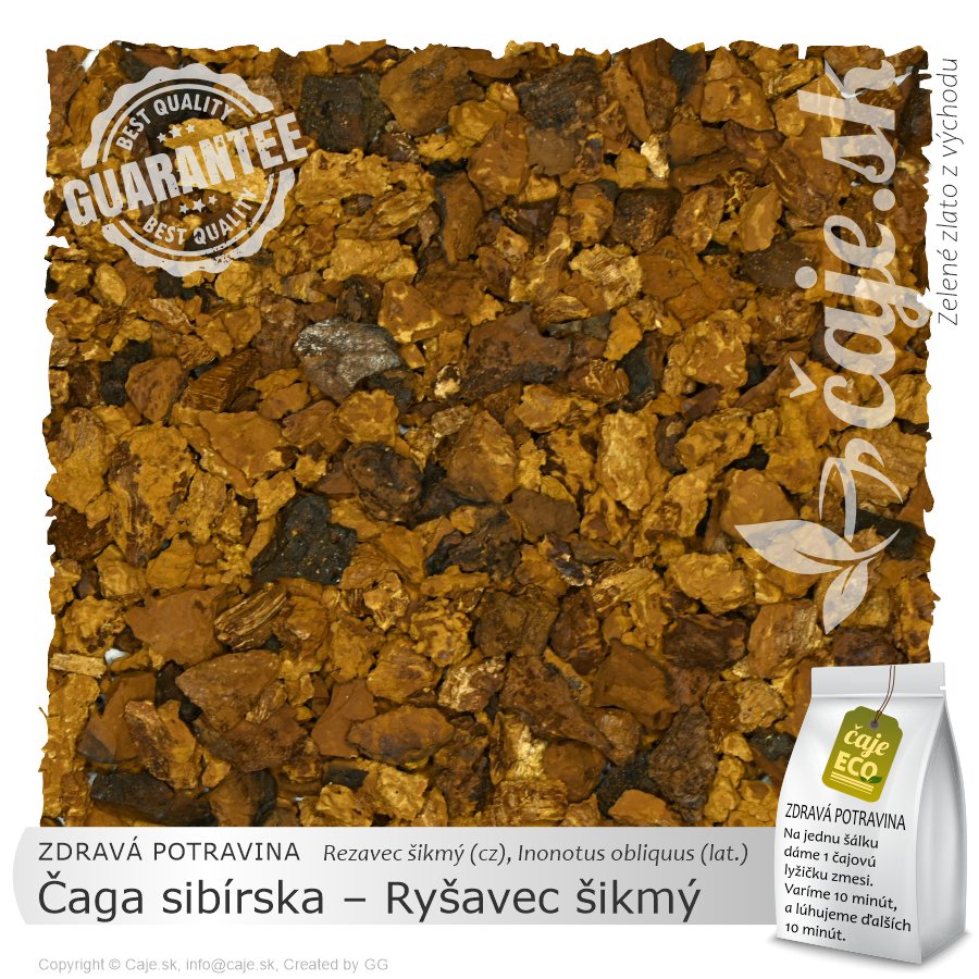 ZDRAVÉ POTRAVINY Čaga sibírska – Ryšavec šikmý (100g)